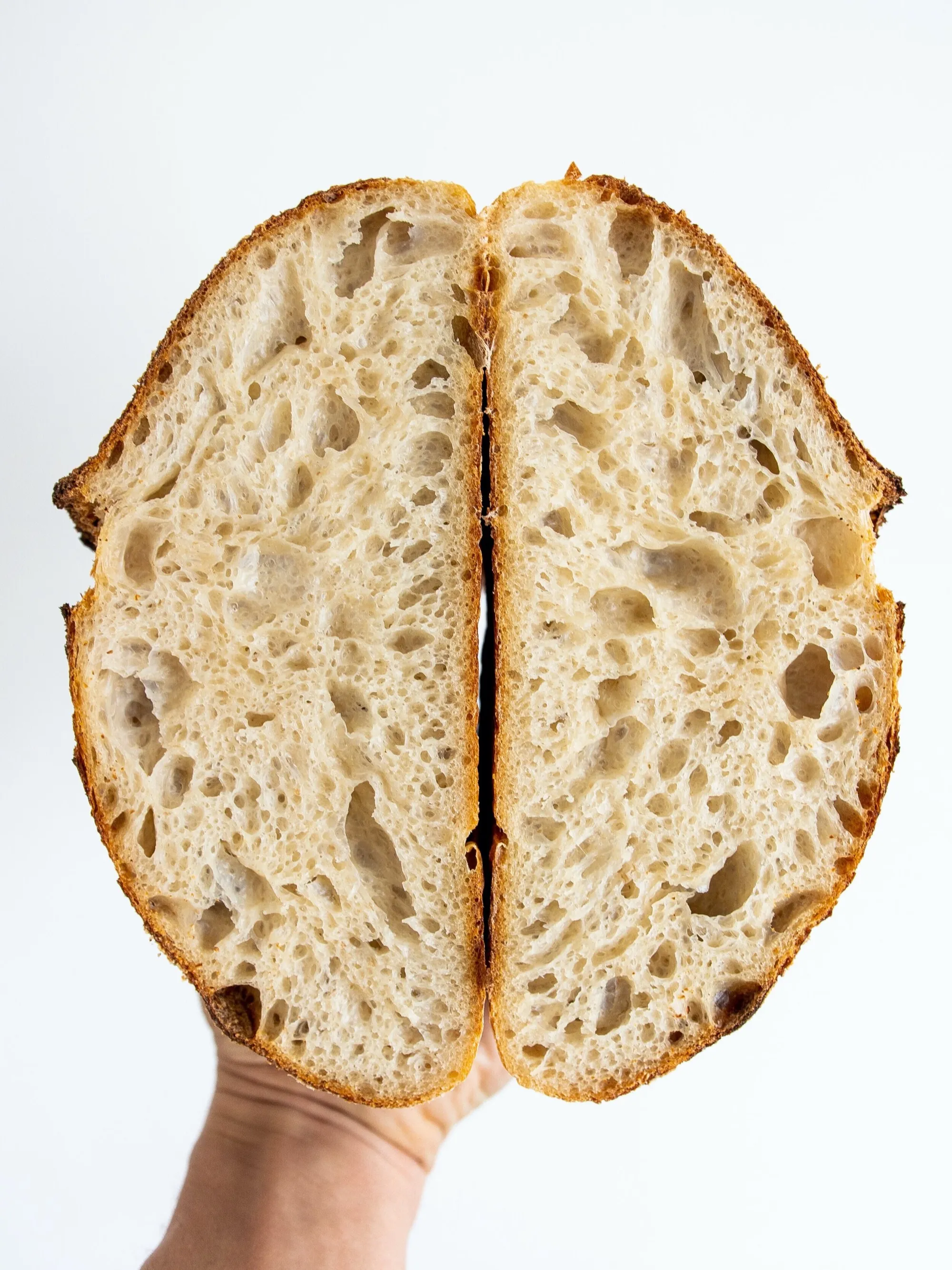 Freshly cut sourdough loaf